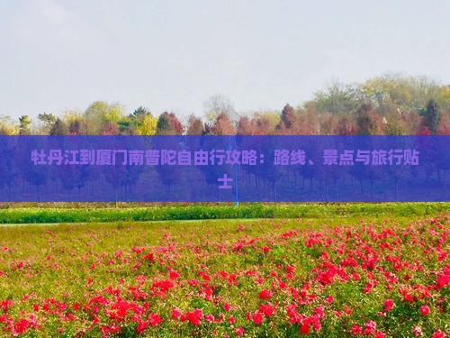 牡丹江到厦门南普陀自由行攻略：路线、景点与旅行贴士
