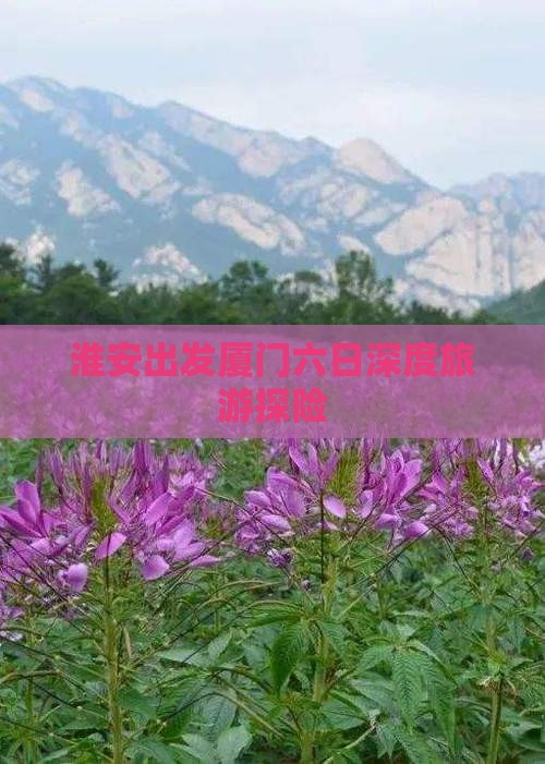 淮安出发厦门六日深度旅游探险