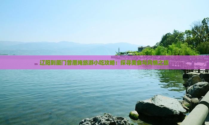 辽阳到厦门曾厝埯旅游小吃攻略：探寻美食与风情之旅
