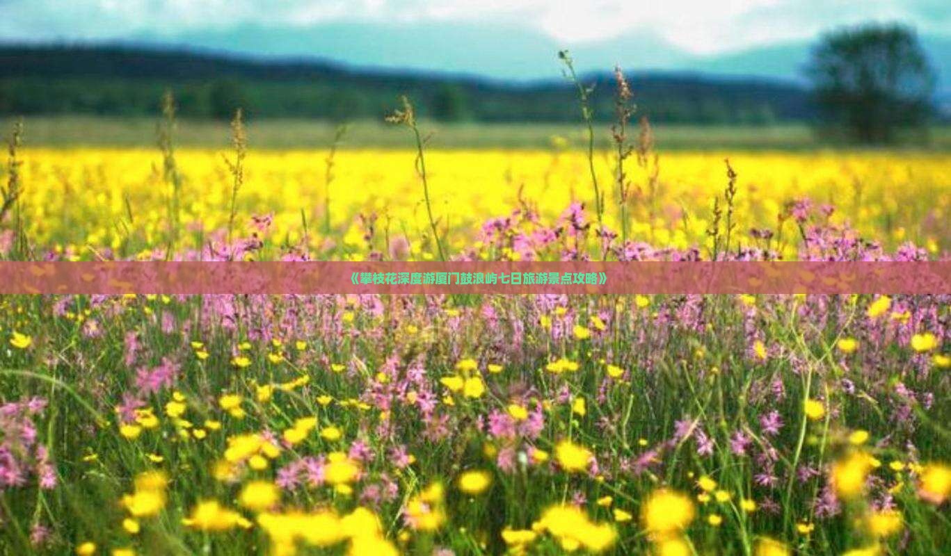 《攀枝花深度游厦门鼓浪屿七日旅游景点攻略》