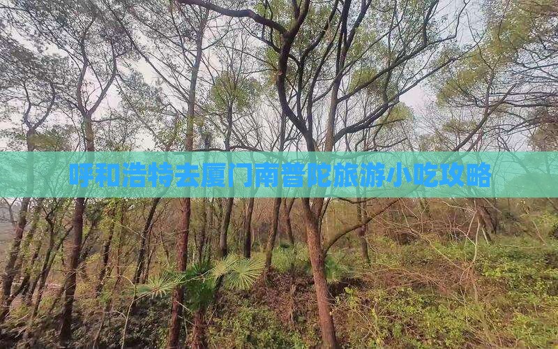 呼和浩特去厦门南普陀旅游小吃攻略