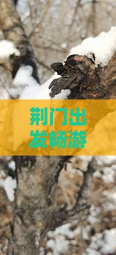 荆门出发畅游厦门及贵楼等热门景点攻略指南