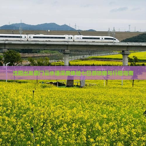 沈阳出发厦门云水谣深度体验七日游攻略与行程指南