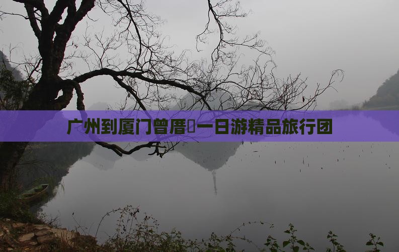 广州到厦门曾厝垵一日游精品旅行团