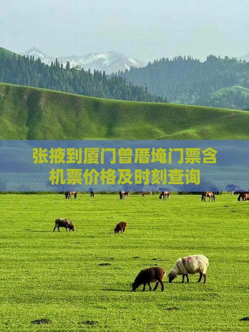 张掖到厦门曾厝埯门票含机票价格及时刻查询