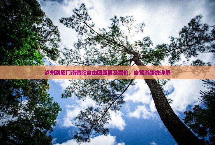 泸州到厦门南普陀自由团距离及票价，自驾游路线详解