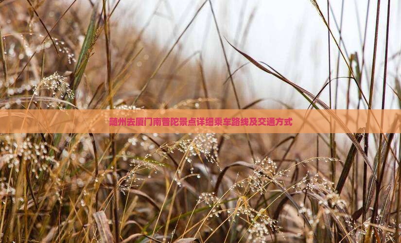 随州去厦门南普陀景点详细乘车路线及交通方式