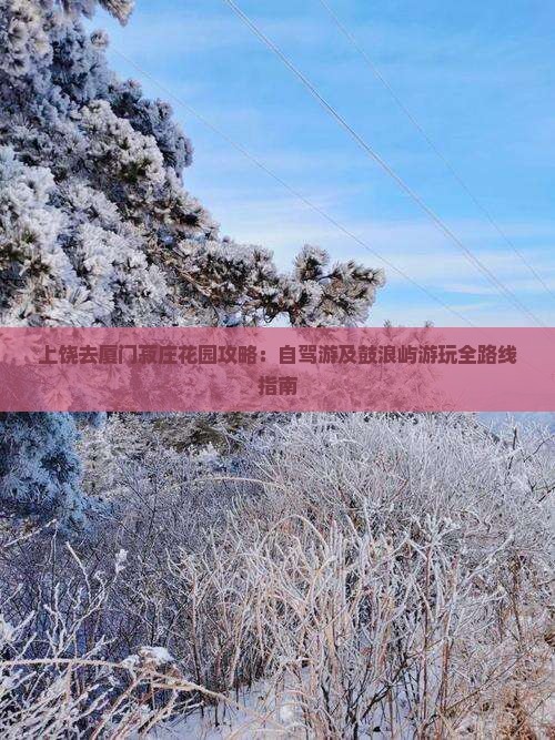 上饶去厦门菽庄花园攻略：自驾游及鼓浪屿游玩全路线指南