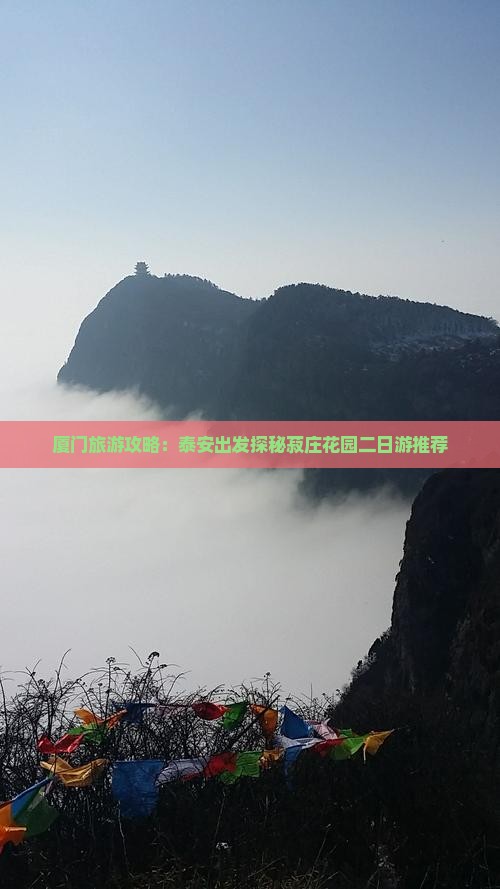 厦门旅游攻略：泰安出发探秘菽庄花园二日游推荐