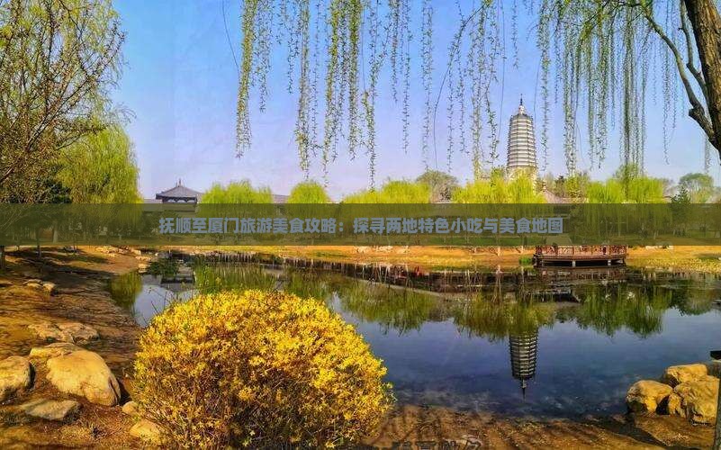 抚顺至厦门旅游美食攻略：探寻两地特色小吃与美食地图