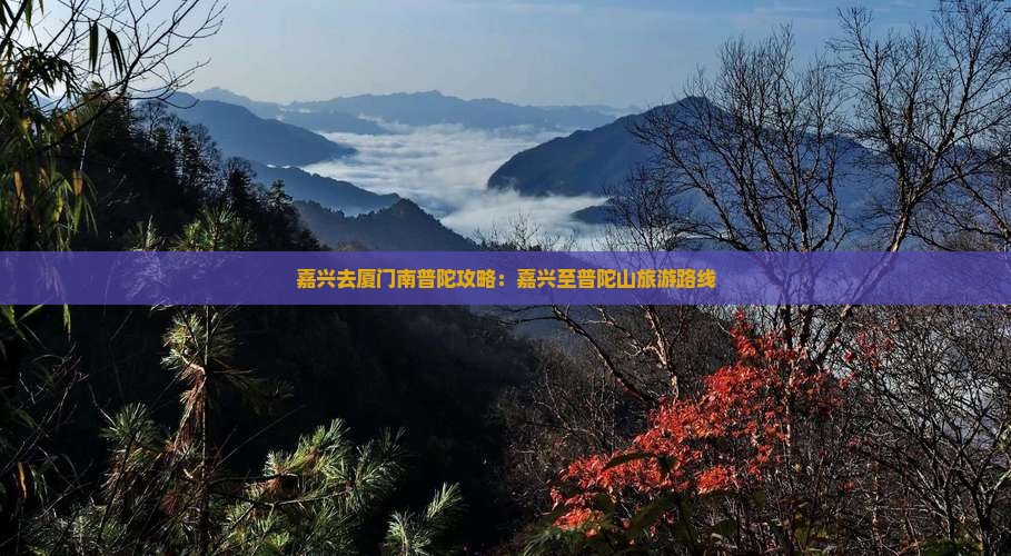 嘉兴去厦门南普陀攻略：嘉兴至普陀山旅游路线