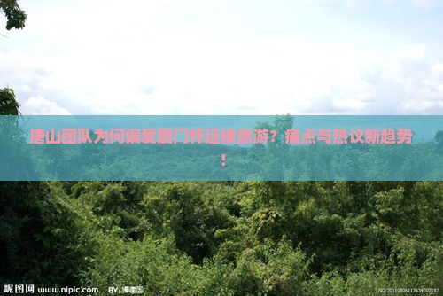 唐山团队为何偏爱厦门怀远楼旅游？痛点与热议新趋势！
