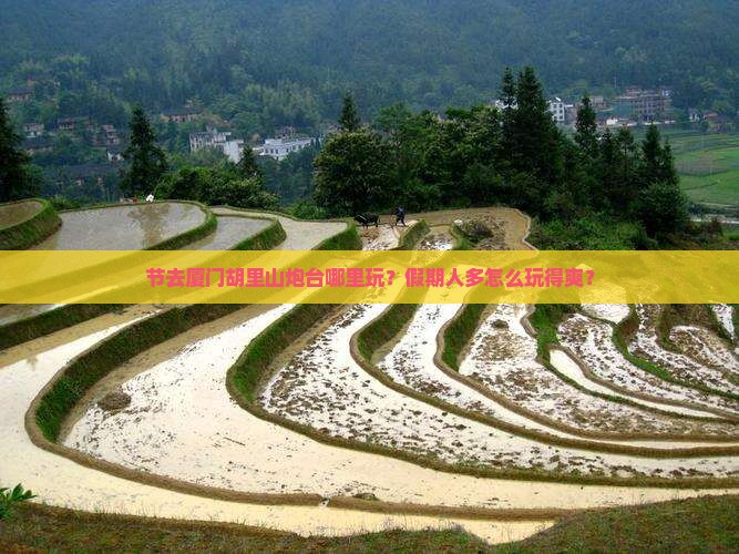 节去厦门胡里山炮台哪里玩？假期人多怎么玩得爽？