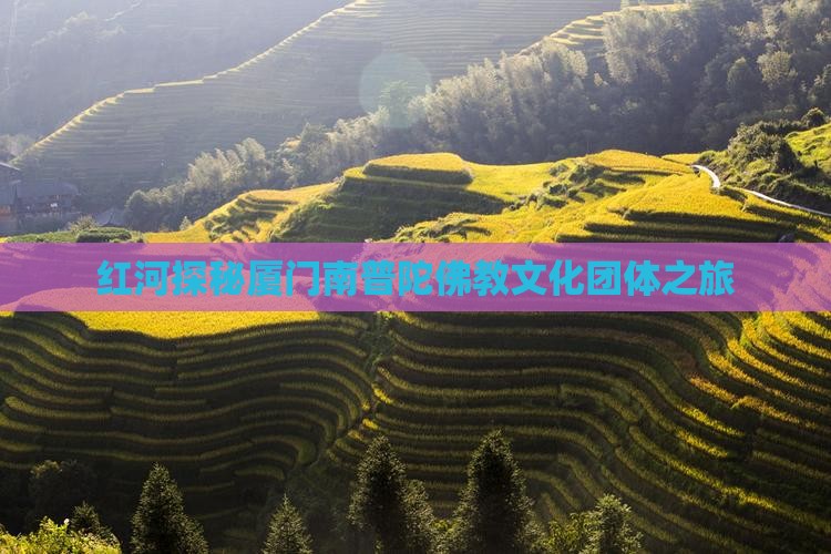 红河探秘厦门南普陀佛教文化团体之旅