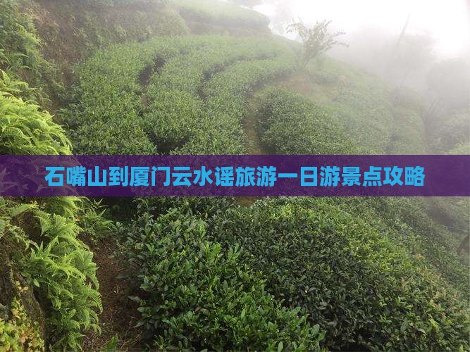 石嘴山到厦门云水谣旅游一日游景点攻略
