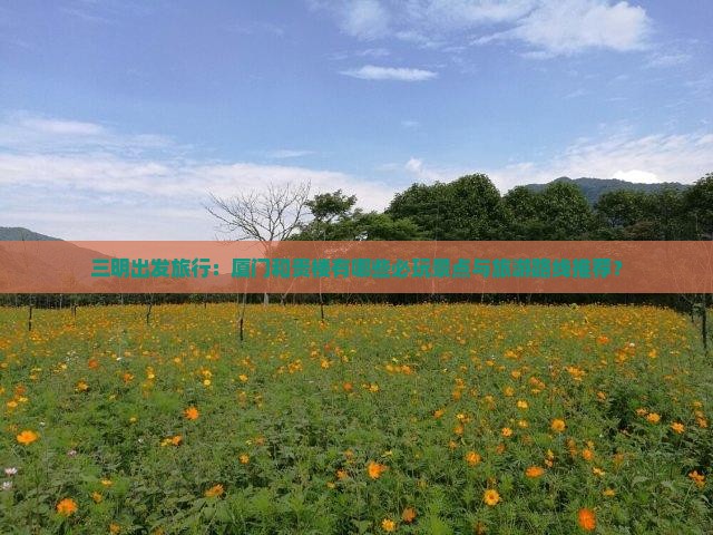 三明出发旅行：厦门和贵楼有哪些必玩景点与旅游路线推荐？