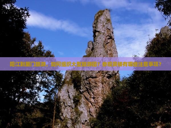 阳江到厦门旅游，如何组织大型旅游团？参观贵楼有哪些注意事项？