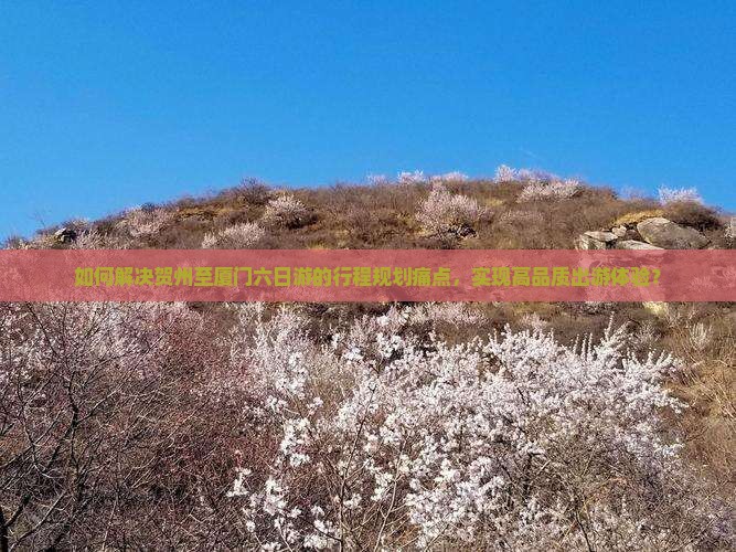 如何解决贺州至厦门六日游的行程规划痛点，实现高品质出游体验？