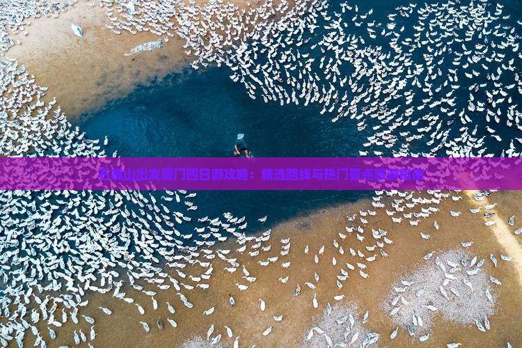 石嘴山出发厦门四日游攻略：精选路线与热门景点旅游指南