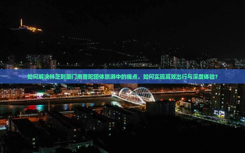 如何解决林芝到厦门南普陀团体旅游中的痛点，如何实现高效出行与深度体验？