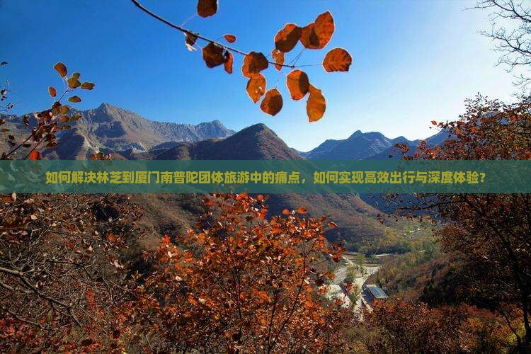 如何解决林芝到厦门南普陀团体旅游中的痛点，如何实现高效出行与深度体验？