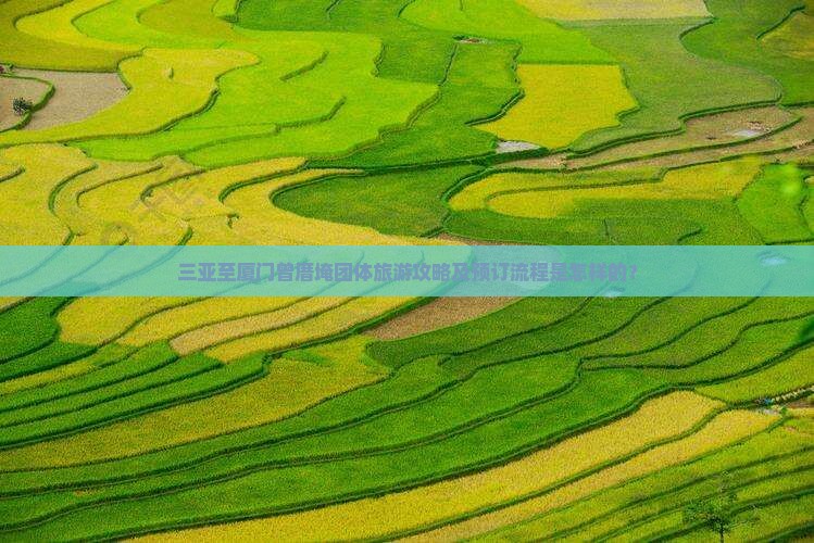 三亚至厦门曾厝埯团体旅游攻略及预订流程是怎样的？