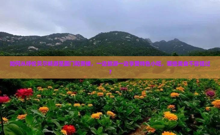 如何从呼伦贝尔畅游至厦门和贵楼，一边旅游一边享受特色小吃，哪些美食不容错过？