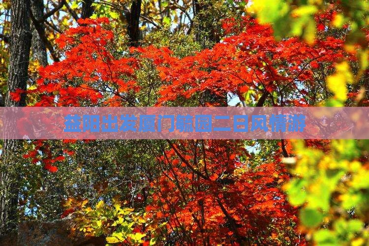 益阳出发厦门毓园二日风情游