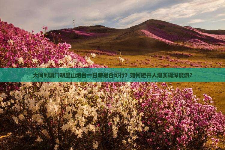 大同到厦门胡里山炮台一日游是否可行？如何避开人潮实现深度游？