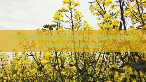 如何规划信阳至厦门胡里山炮台自由行路犀解决交通和住宿痛点，提升旅行体验？