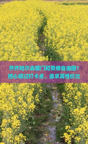 齐齐哈尔去厦门和贵楼自由团？担心错过打卡点、追求高性价比的看过来！