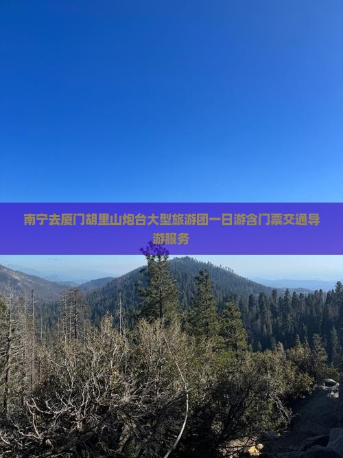 南宁去厦门胡里山炮台大型旅游团一日游含门票交通导游服务