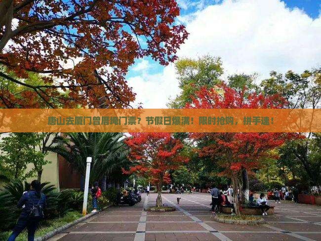 唐山去厦门曾厝埯门票？节假日爆满！限时抢购，拼手速！