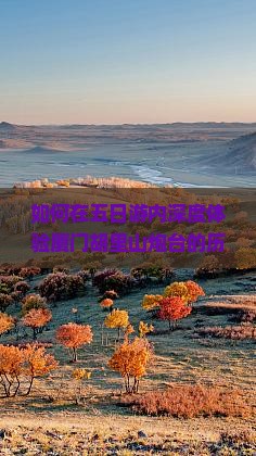 如何在五日游内深度体验厦门胡里山炮台的历史魅力与网红打卡痛点？