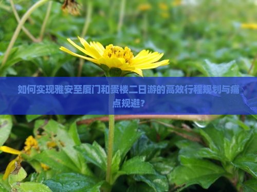 如何实现雅安至厦门和贵楼二日游的高效行程规划与痛点规避？