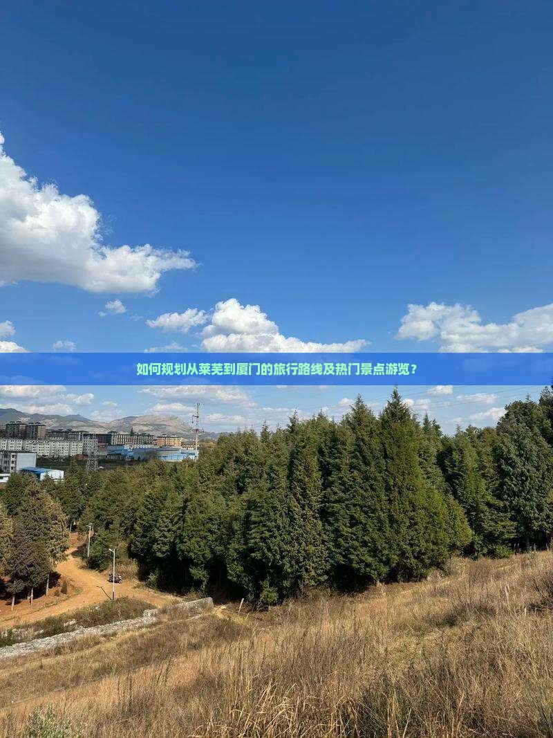 如何规划从莱芜到厦门的旅行路线及热门景点游览？