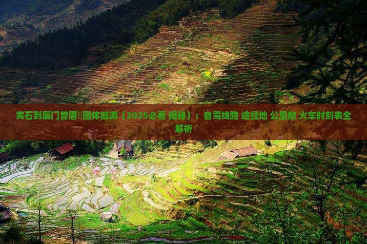 黄石到厦门曾厝埯团体旅游