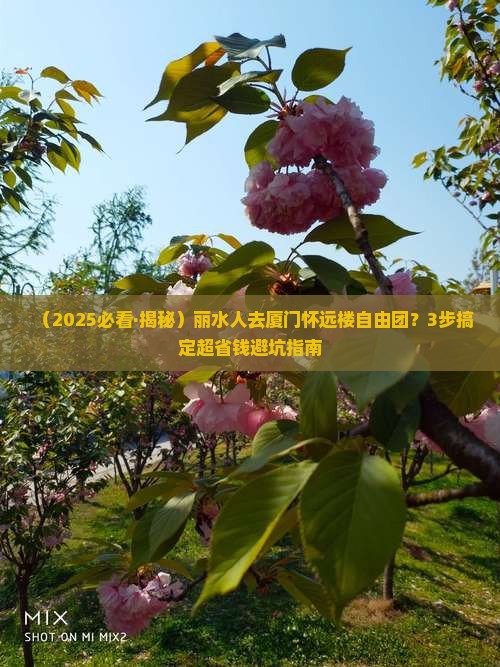 丽水去厦门怀远楼自由团