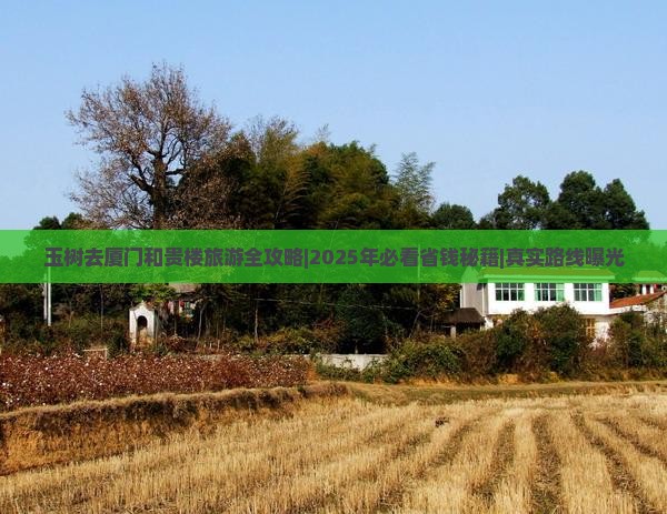玉树去厦门和贵楼旅游