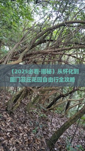 怀化到厦门菽庄花园自由行