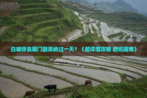 白城到厦门鼓浪屿一日
