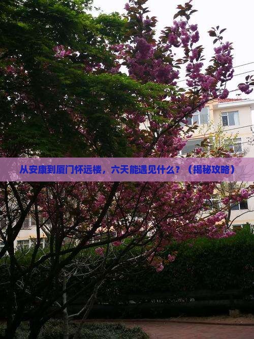 安康到厦门怀远楼六日游