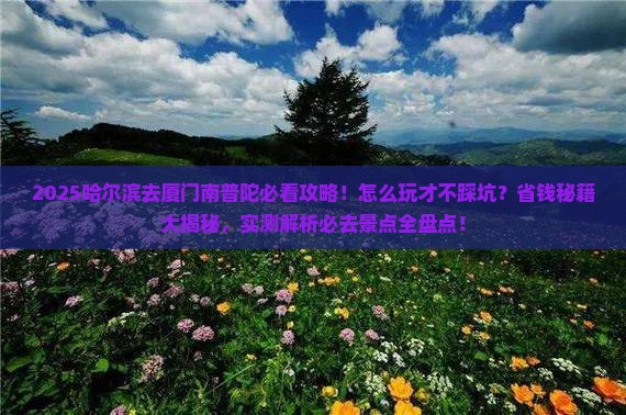 哈尔滨去厦门南普陀哪里玩