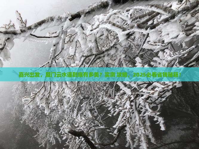 嘉兴到厦门云水谣景点