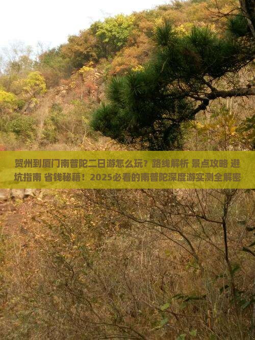 贺州到厦门南普陀二日游