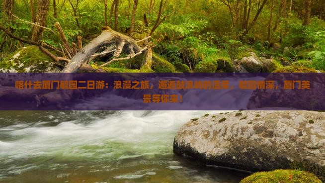 喀什去厦门毓园二日游