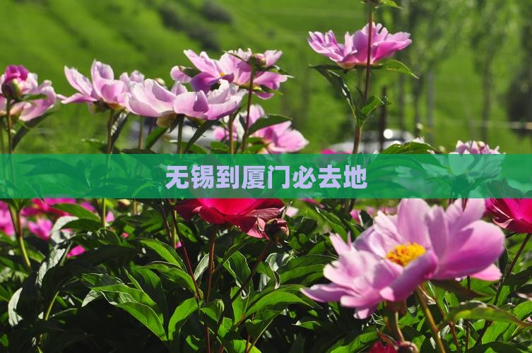 无锡到厦门必去地
