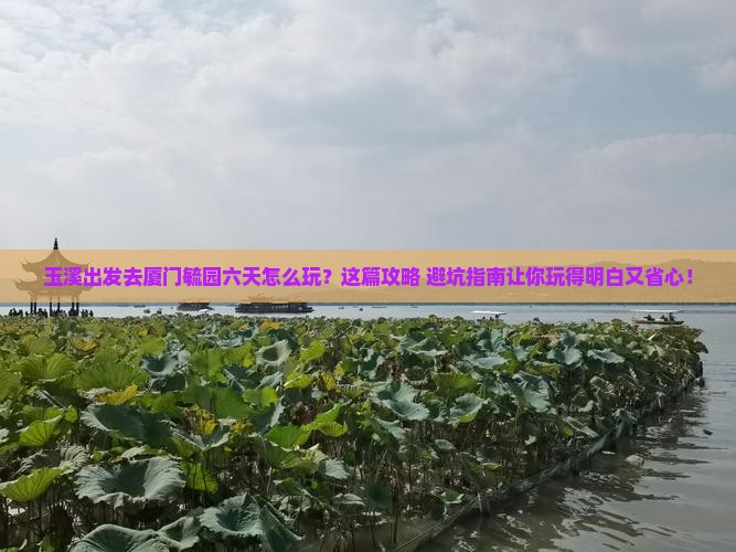 玉溪去厦门毓园六日游