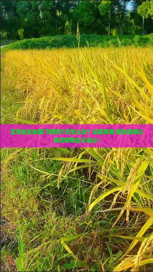 玉溪去厦门毓园六日游