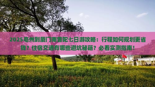 亳州到厦门南普陀七日游